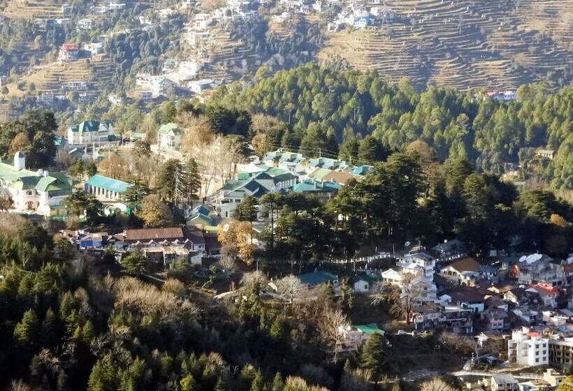 פנסיון Sandringham Hideout