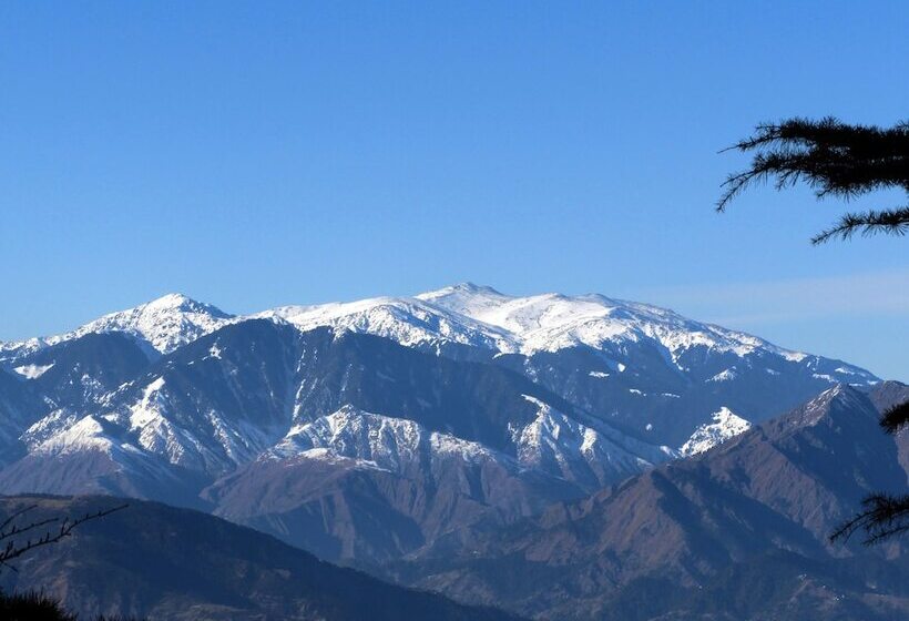 פנסיון Sandringham Hideout