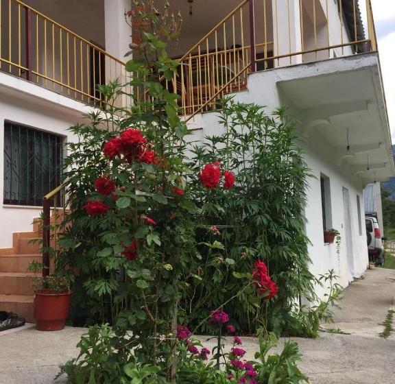 Majatalo Bujtina Kometa