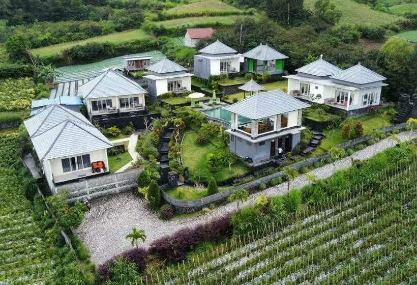 ペンション Batur Green Hill And Hot Spring