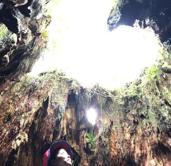 Yakushima Pension Luana House