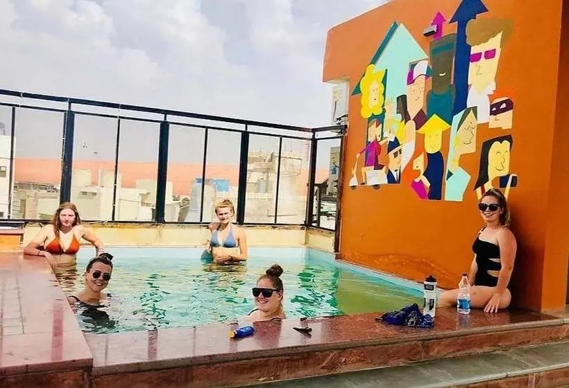 هاستل Gypsy Monkey