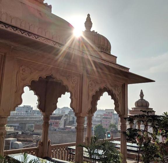 Albergue Gypsy Monkey