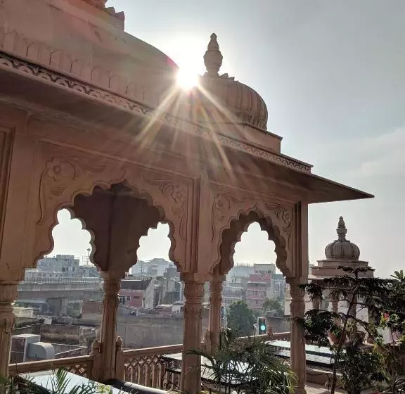 هاستل Gypsy Monkey