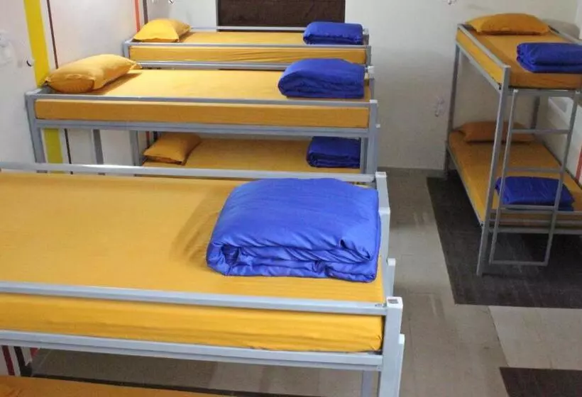 هاستل Gypsy Monkey