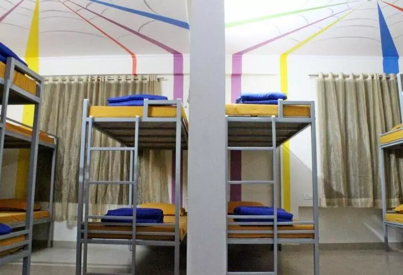 هاستل Gypsy Monkey