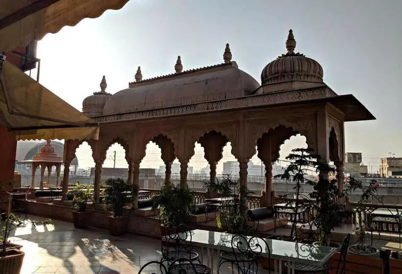 هاستل Gypsy Monkey