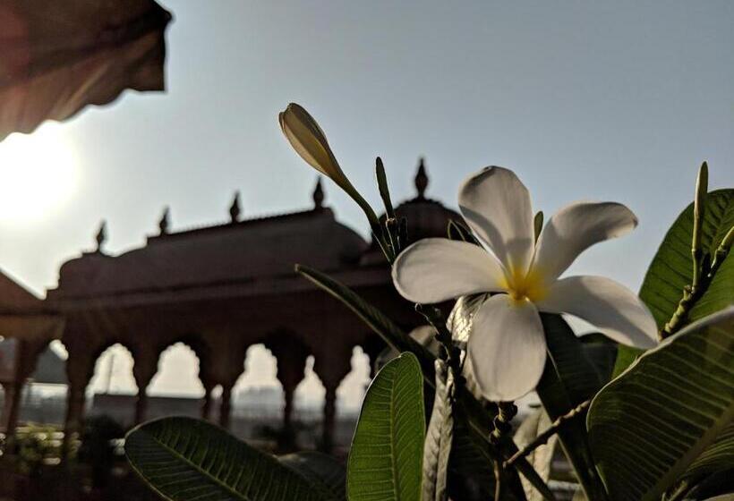 Albergue Gypsy Monkey