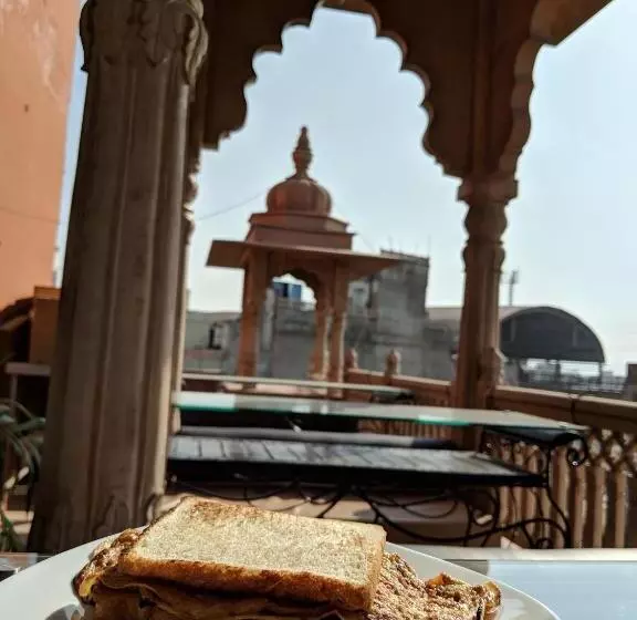 هاستل Gypsy Monkey