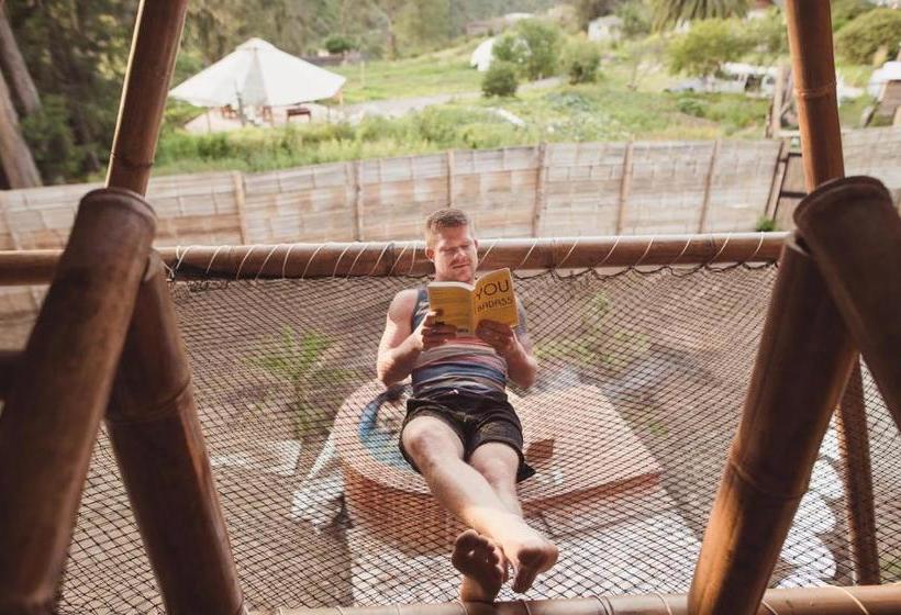 Herberge Samay Glamping Airport