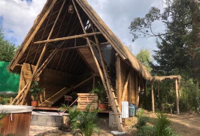 Herberge Samay Glamping Airport