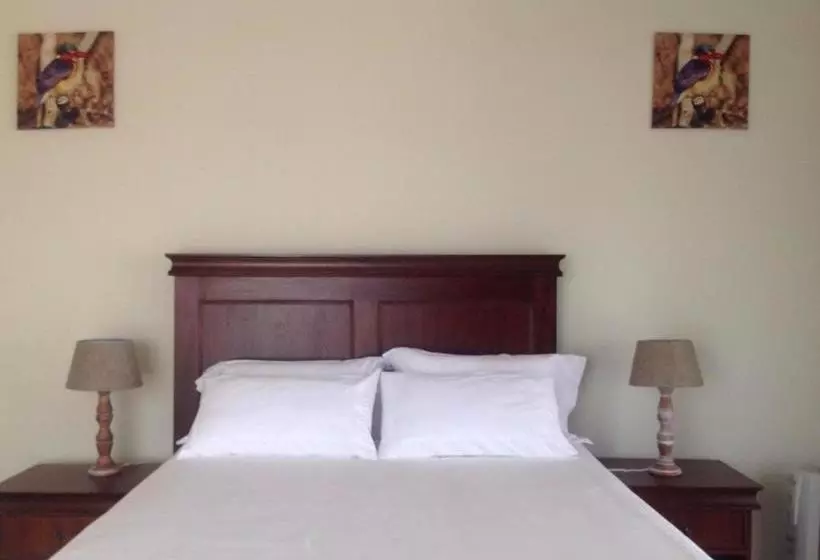 پانسیون Vinolux Guest House