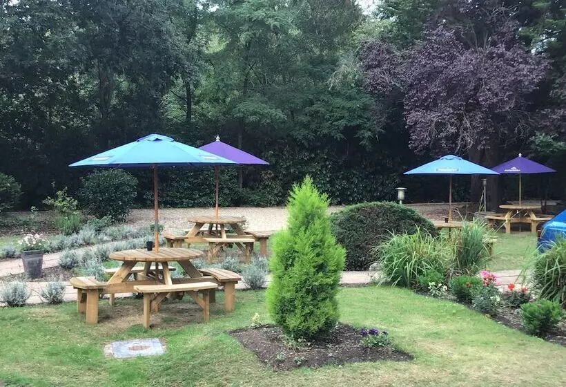 Aamiaismajoitus (B&B) Le Chateau