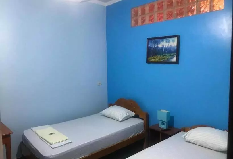 ペンション Amazon Dream Hostel With Ac And Starlink