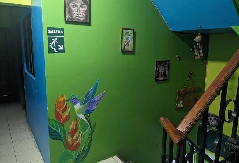 פנסיון Amazon Dream Hostel With Ac And Starlink