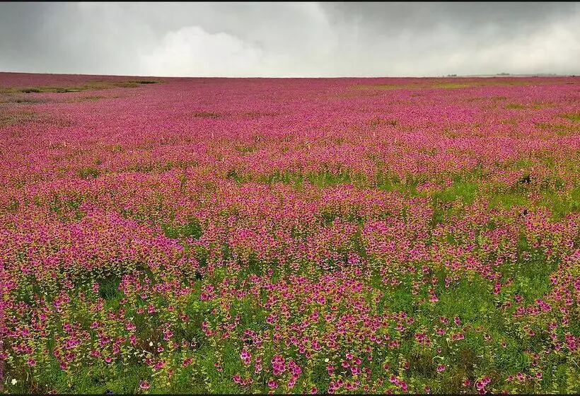 Hotelli Maharaja Regency