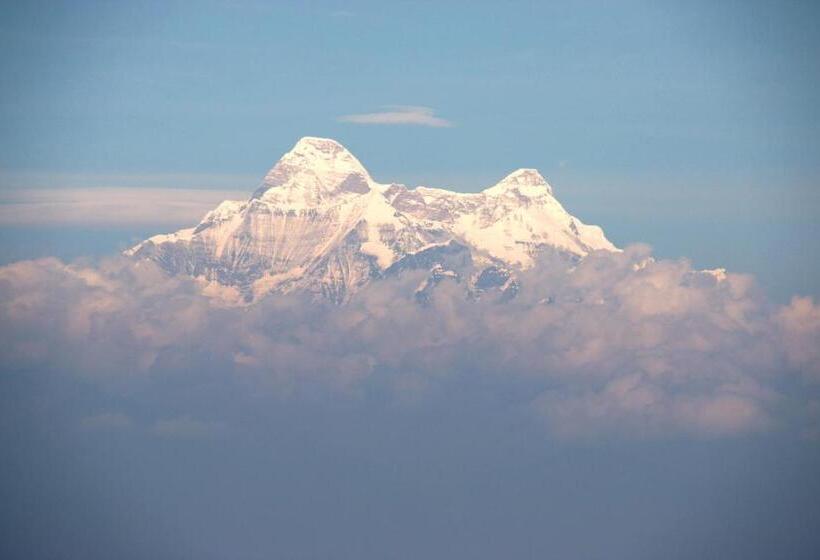 Hotel Nest And Hives Motiapathar/mukteshwar