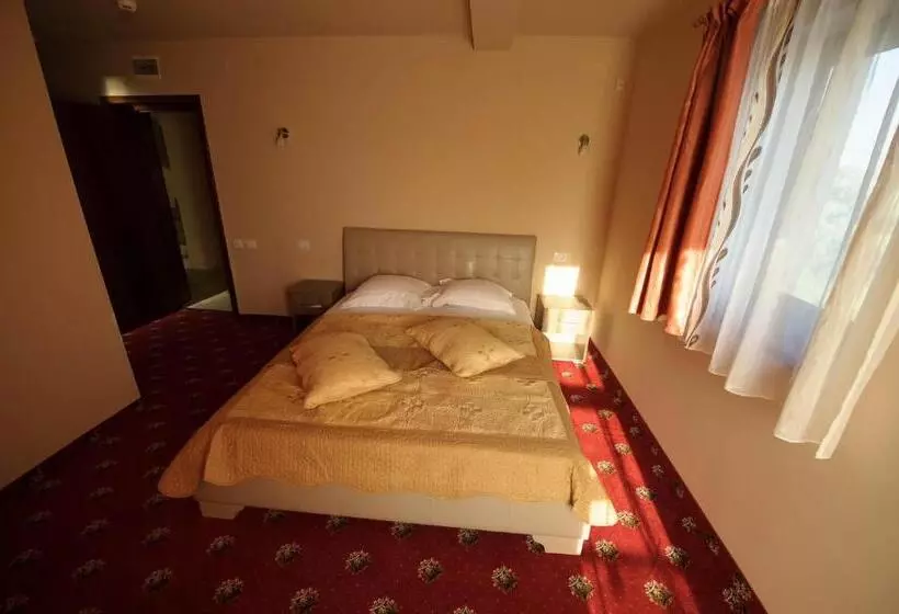 Pensiune La Mare Darius Mihai