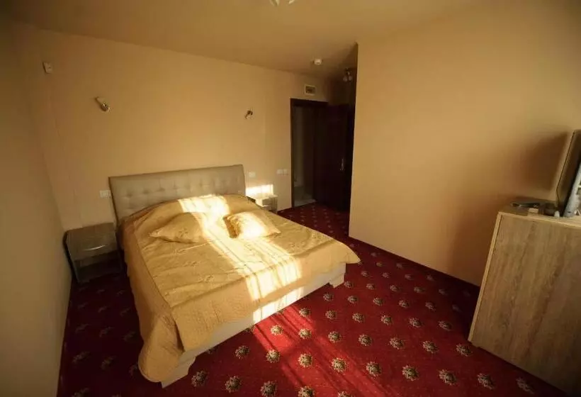 Pensiune La Mare Darius Mihai