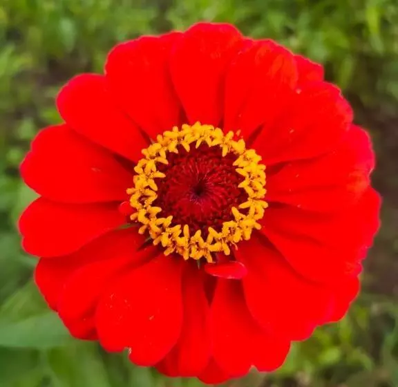 ベッドアンドブレックファースト Snow View Guest House