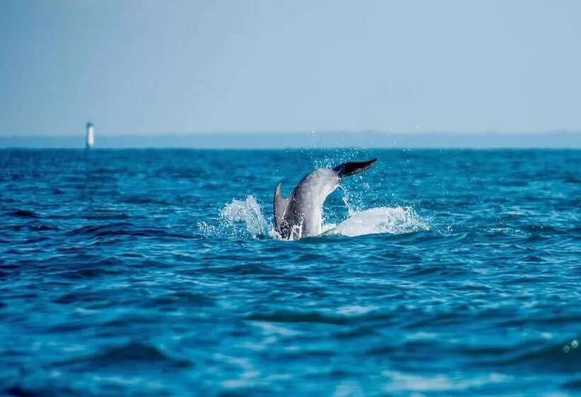 Hotelli Ginkgo  Spa Biloba