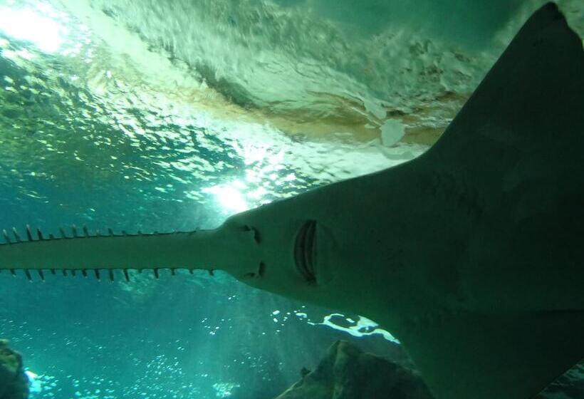 호텔 Ginkgo  Spa Biloba