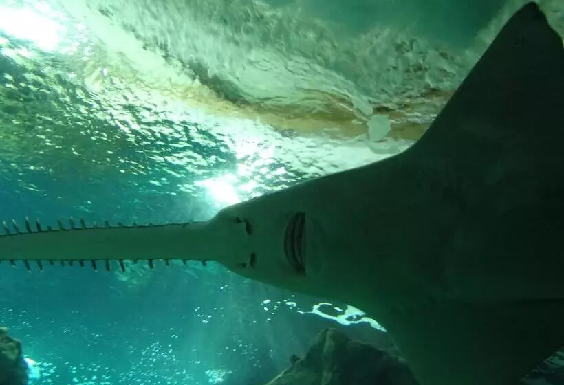 Hotelli Ginkgo  Spa Biloba