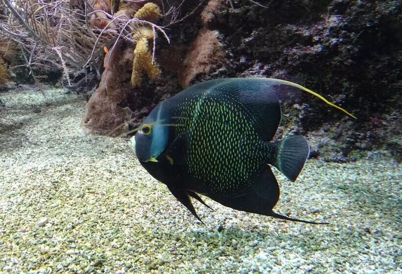 Hotelli Ginkgo  Spa Biloba