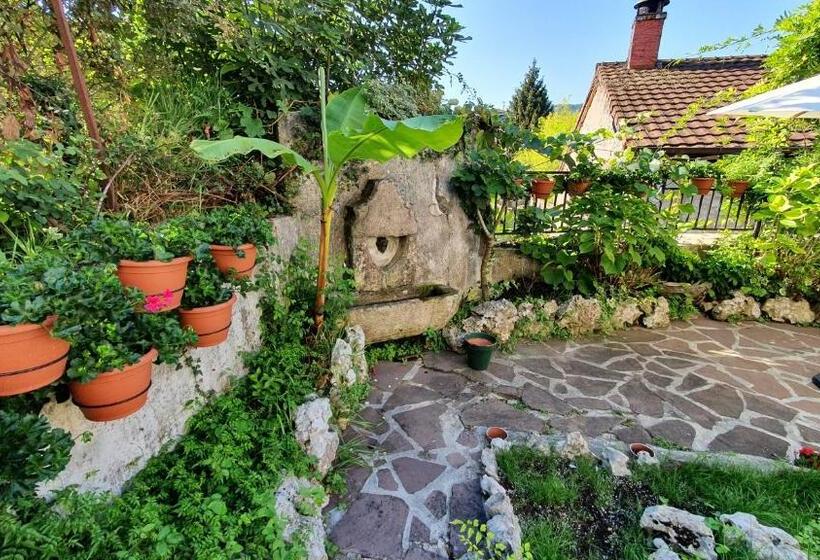 بنسيون Hostal Ansonea