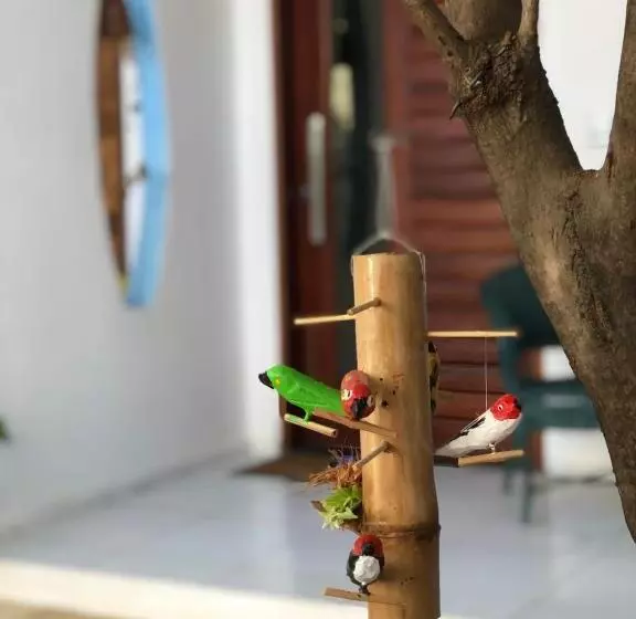 Majatalo Pousada Paracuru Surf