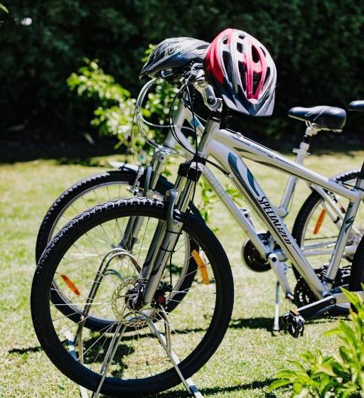 膳宿费 Studio On Petley