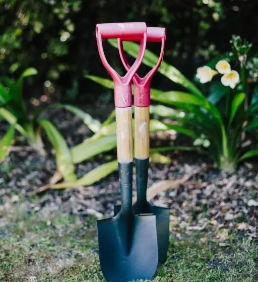 Majatalo Studio On Petley