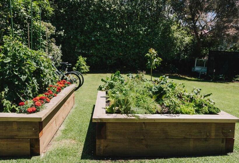 膳宿费 Studio On Petley