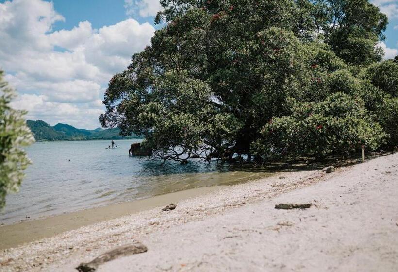 膳宿费 Studio On Petley