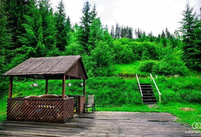 هاستل Coliba Drumetului