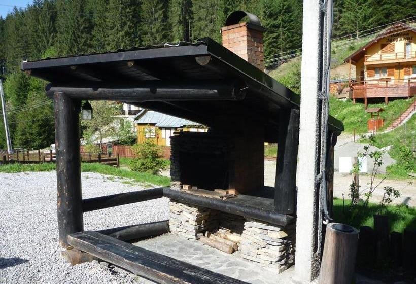 هاستل Coliba Drumetului