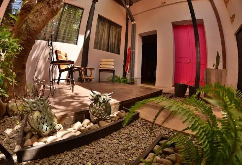 پانسیون Hostal Sole