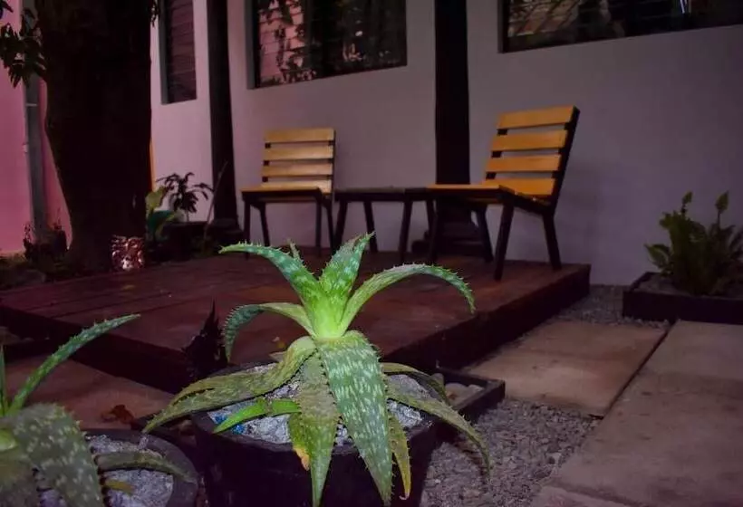 پانسیون Hostal Sole