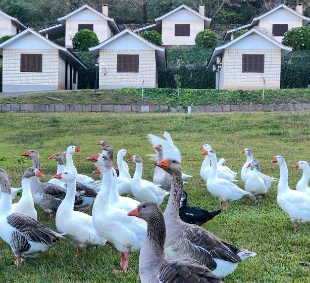 פנסיון Pousada Parque Das Pitangueiras