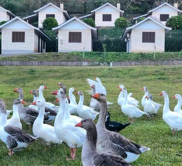 ペンション Pousada Parque Das Pitangueiras
