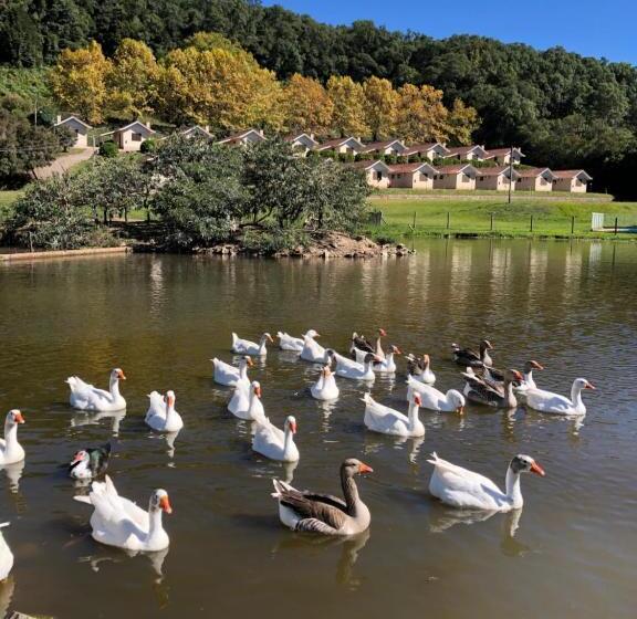 פנסיון Pousada Parque Das Pitangueiras