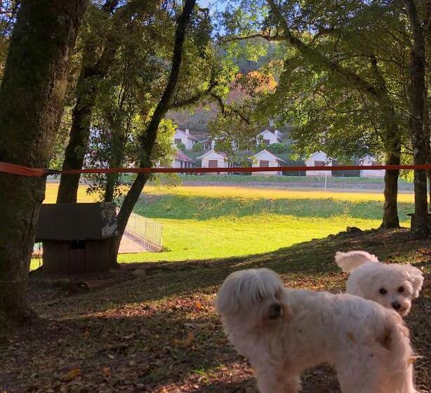 פנסיון Pousada Parque Das Pitangueiras