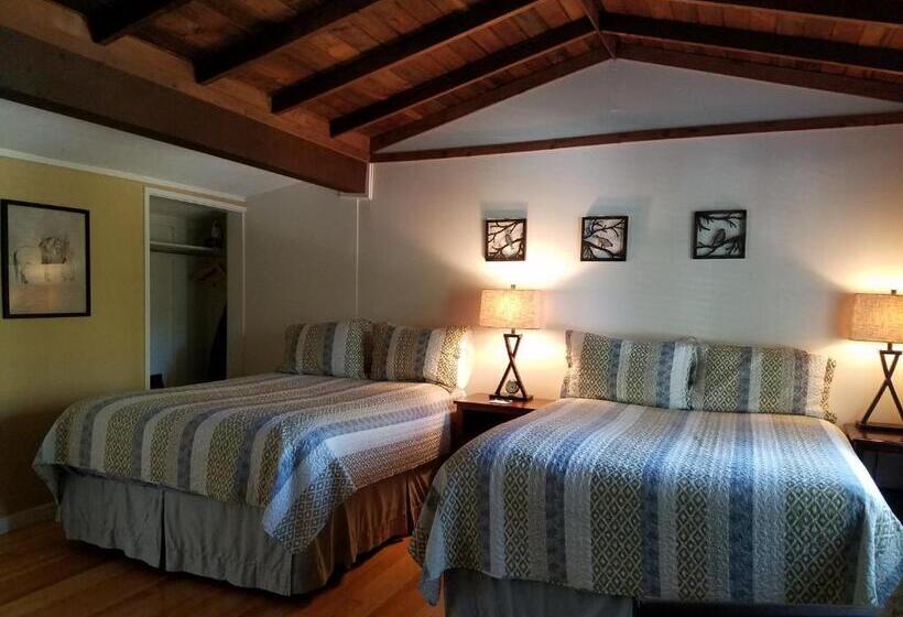 فندق China Creek Cottages