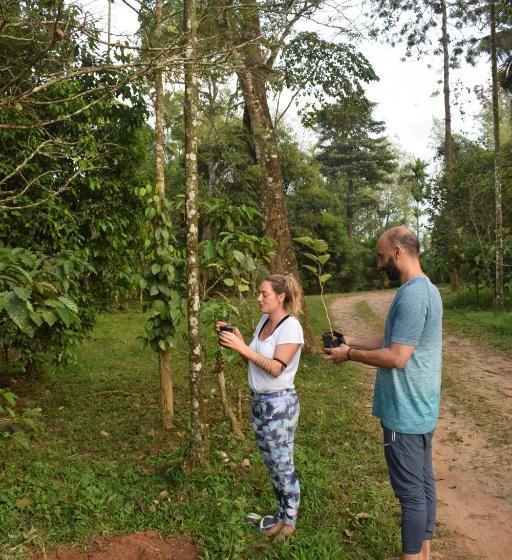 פנסיון 3 Hills County Resort Wayanad