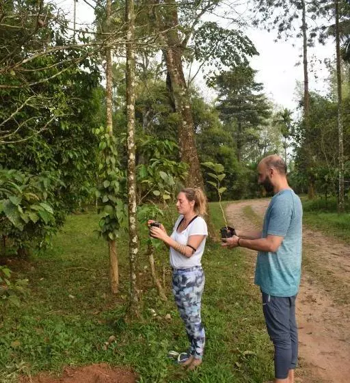 ペンション 3 Hills County Resort Wayanad