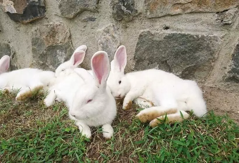 مسافرخانه La Maison