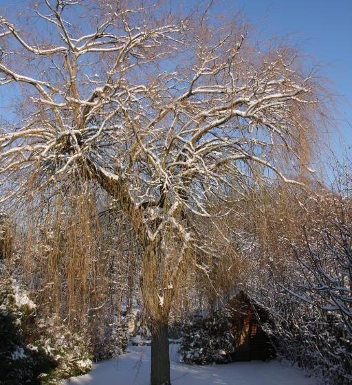 צימר Le Cottage Bnb Chambres Dhotes Paris Saclay