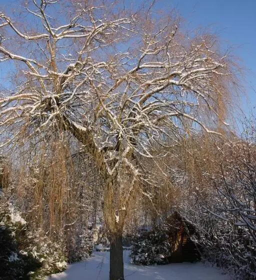 ベッドアンドブレックファースト Le Cottage Bnb Chambres Dhotes Paris Saclay