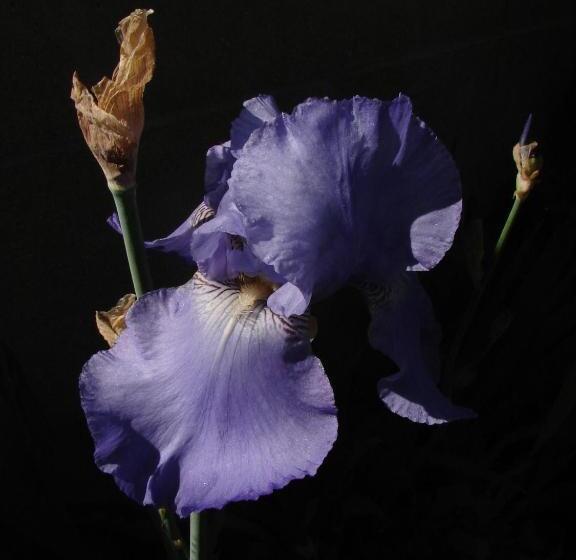 צימר Le Cottage Bnb Chambres Dhotes Paris Saclay