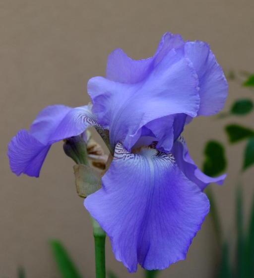 צימר Le Cottage Bnb Chambres Dhotes Paris Saclay